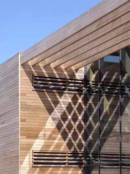 園林造型藝術光影 園林造型藝術光影