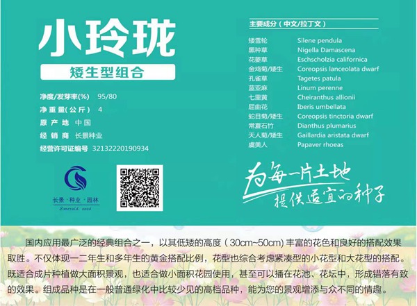 矮生型的野花組合_圖片_種子價格 矮生型的野花組合_圖片_種子價格